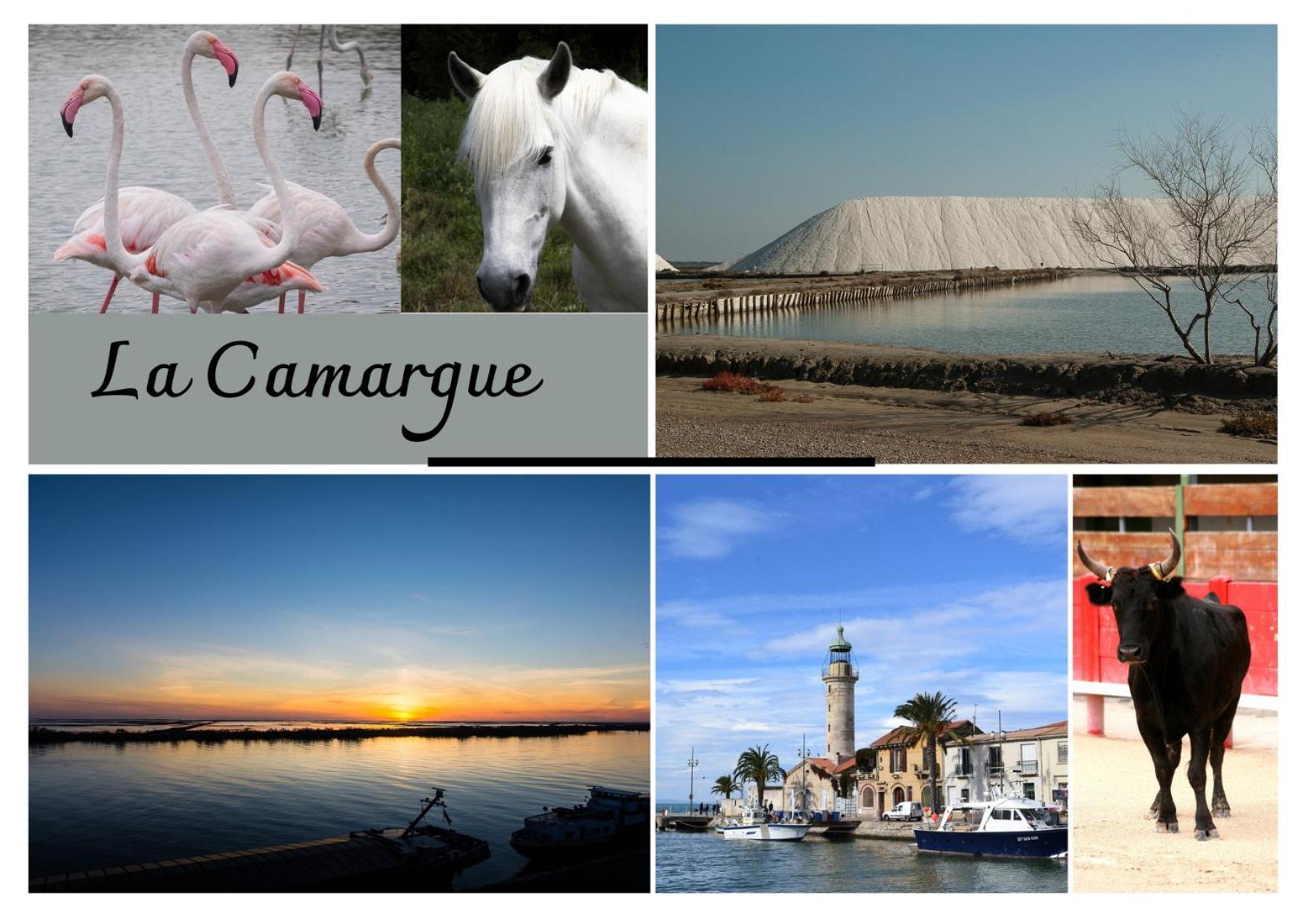 Immeuble 3 Apparts Centre Historique St Gilles Maisoncarreeconciergerie سان جيل المظهر الخارجي الصورة