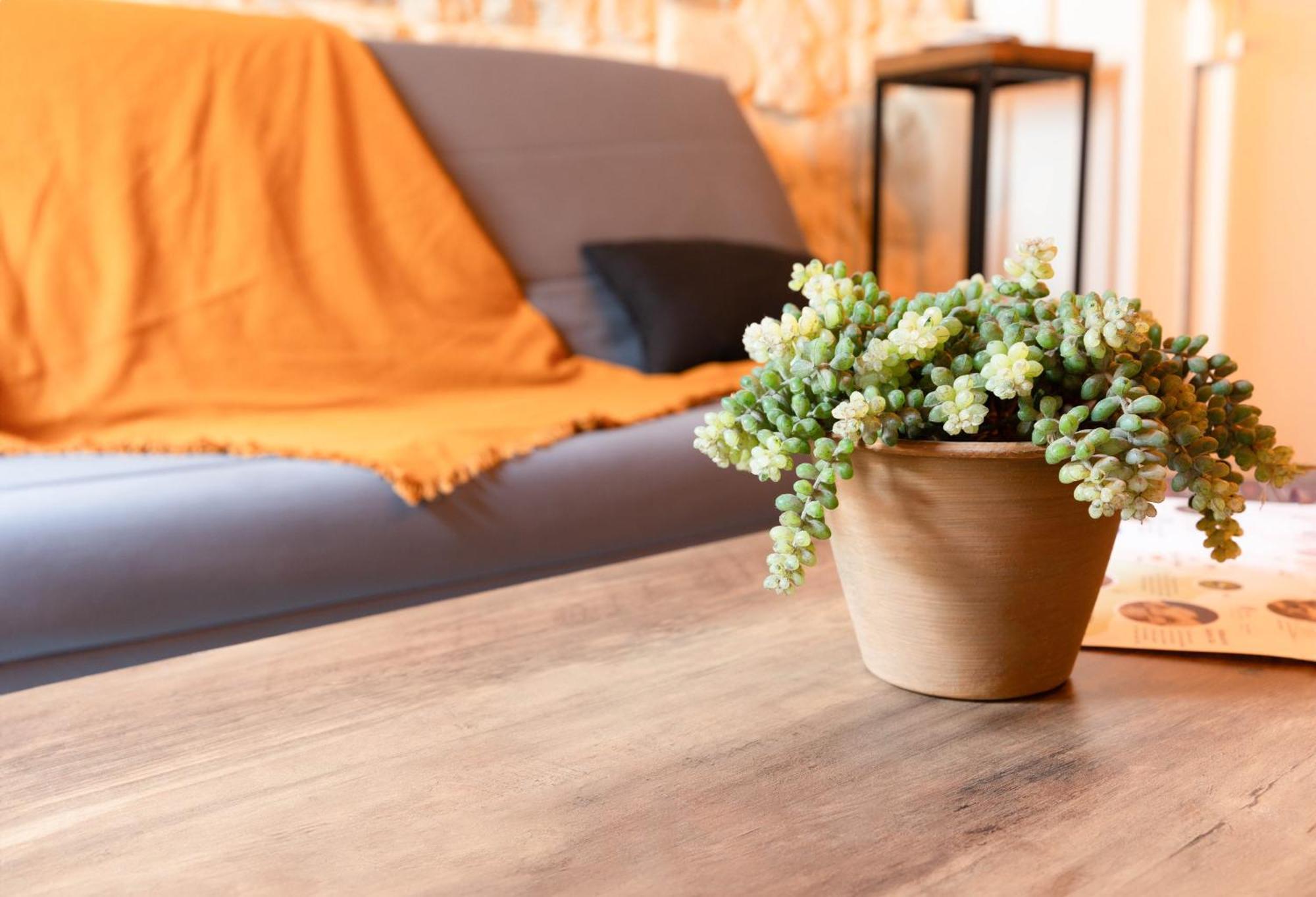 Immeuble 3 Apparts Centre Historique St Gilles Maisoncarreeconciergerie سان جيل المظهر الخارجي الصورة